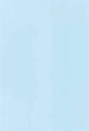 COMIC14 apricot Aoki Ume Petit Fleurs Heartcatch Precure - Page 3