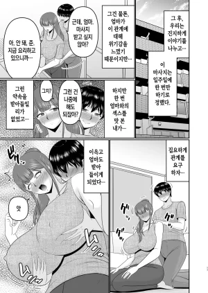 Complete Box Hatakeyama Tohya Yawahada Kaa-san 부드러운 피부의 엄마 Korean 팀 숙녀 - Page 16