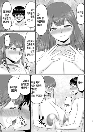 Complete Box Hatakeyama Tohya Yawahada Kaa-san 부드러운 피부의 엄마 Korean 팀 숙녀 - Page 30