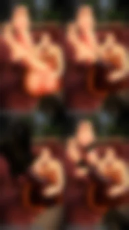 Confinedburner Alts not included - Page 190