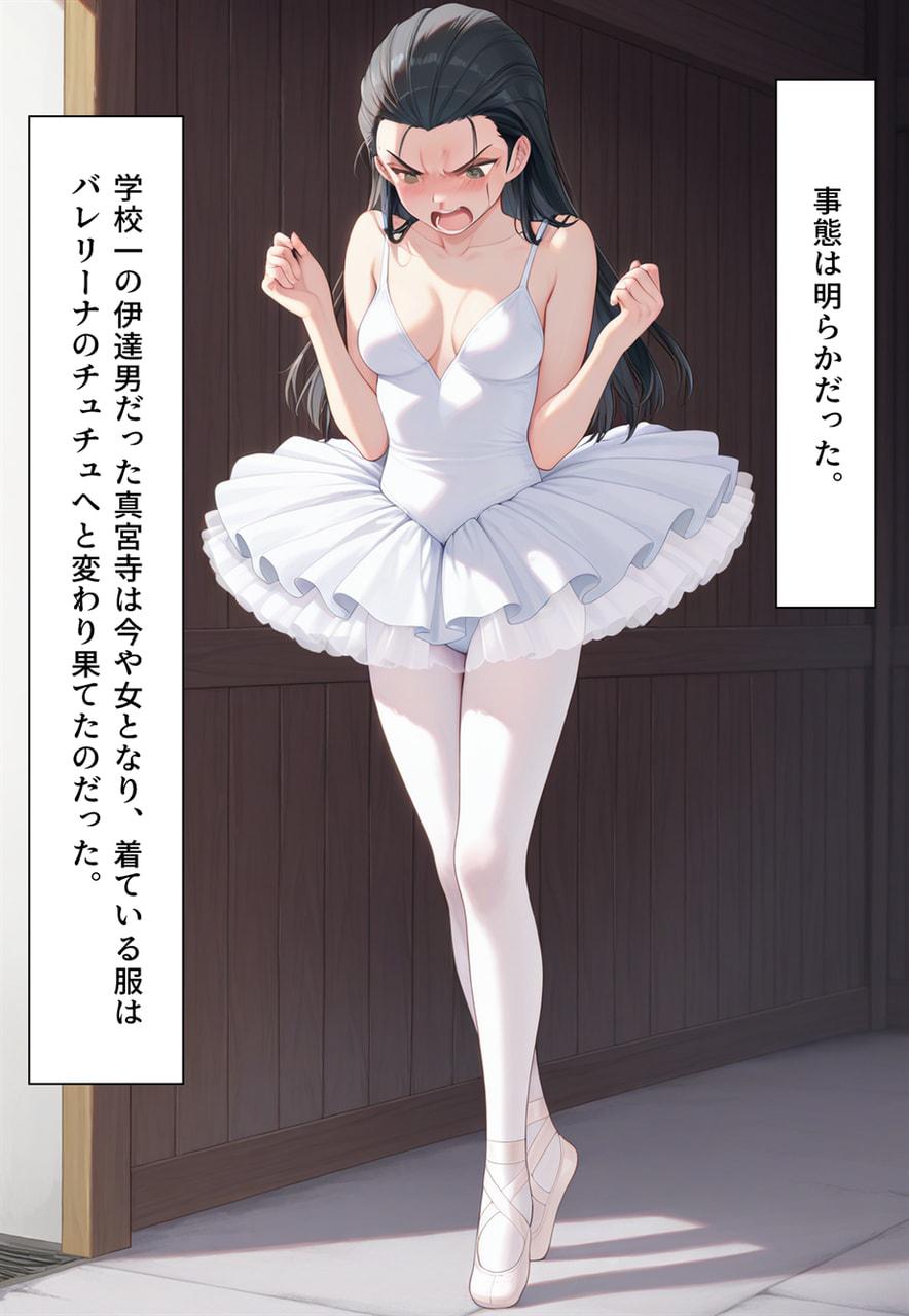 Confused Swan Men forced to wear pointe shoes - Image 104