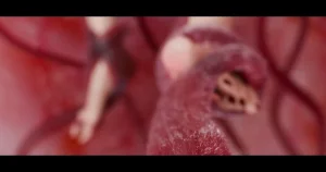 DDK00间章先行版 蛇之奴綱手蛇之仆 纲手40962160 - Page 241