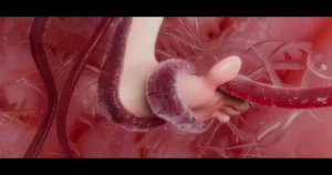 DDK00间章先行版 蛇之奴綱手蛇之仆 纲手40962160 - Page 243