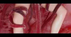 DDK00间章先行版 蛇之奴綱手蛇之仆 纲手40962160 - Page 245