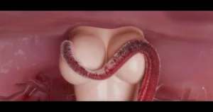 DDK00间章先行版 蛇之奴綱手蛇之仆 纲手40962160 - Page 251