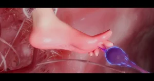 DDK00间章先行版 蛇之奴綱手蛇之仆 纲手40962160 - Page 274