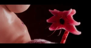 DDK00间章先行版 蛇之奴綱手蛇之仆 纲手40962160 - Page 300