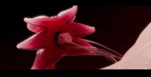 DDK00间章先行版 蛇之奴綱手蛇之仆 纲手40962160 - Page 304