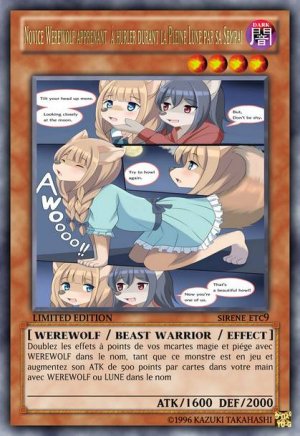 deck werebeast,vamp, suc, cow girls,lamia,cent , idols etc9 yugioh - Page 295
