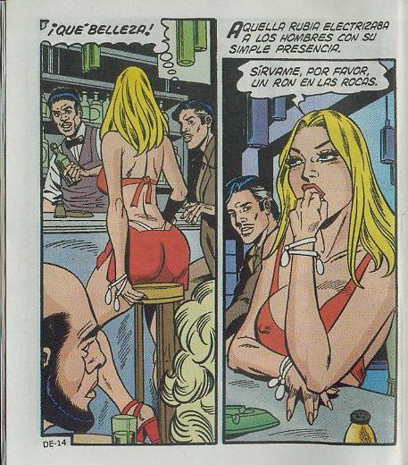 Delmonicos Erotika 312 - Image 14