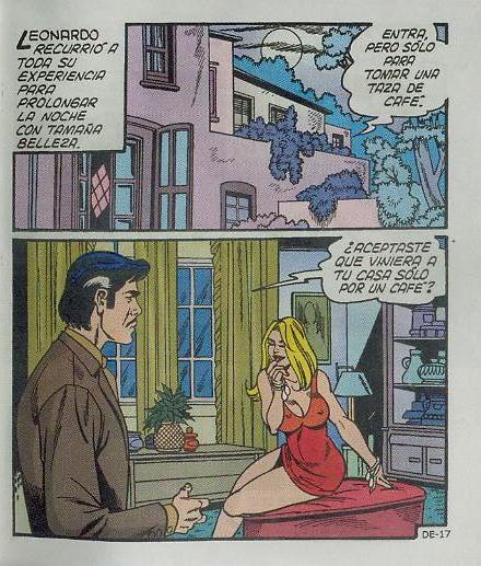 Delmonicos Erotika 312 - Image 17