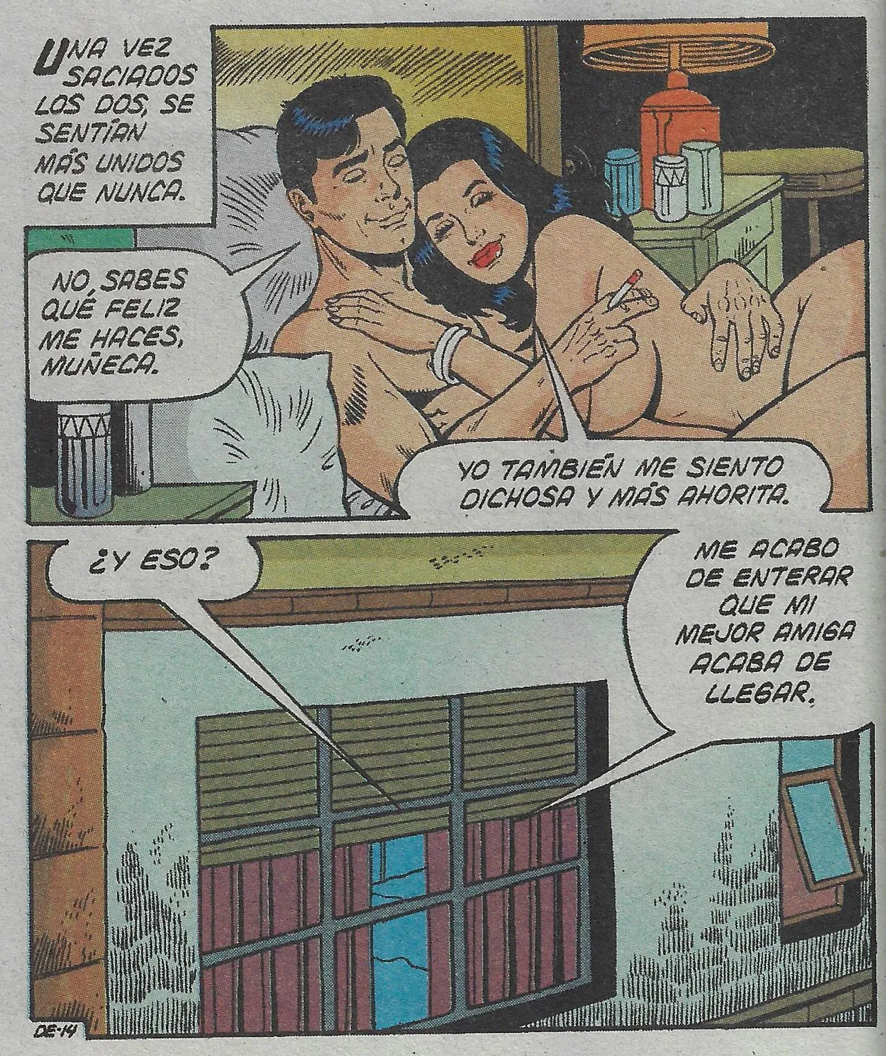 Delmonicos Erotika 315 - Image 15