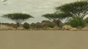 difu-UG大战giga
