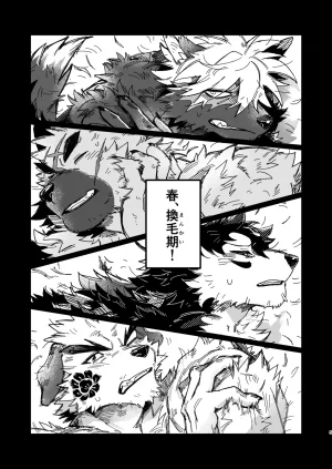 腐葉土 モフりモフられ換毛日和DigitalJapanese - Page 5