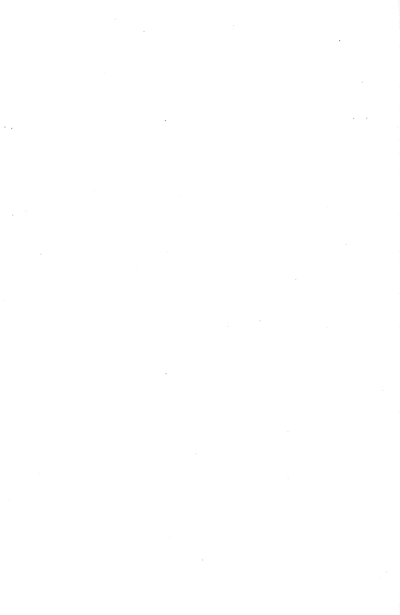 Drakengard Novel Prelude - Image 177