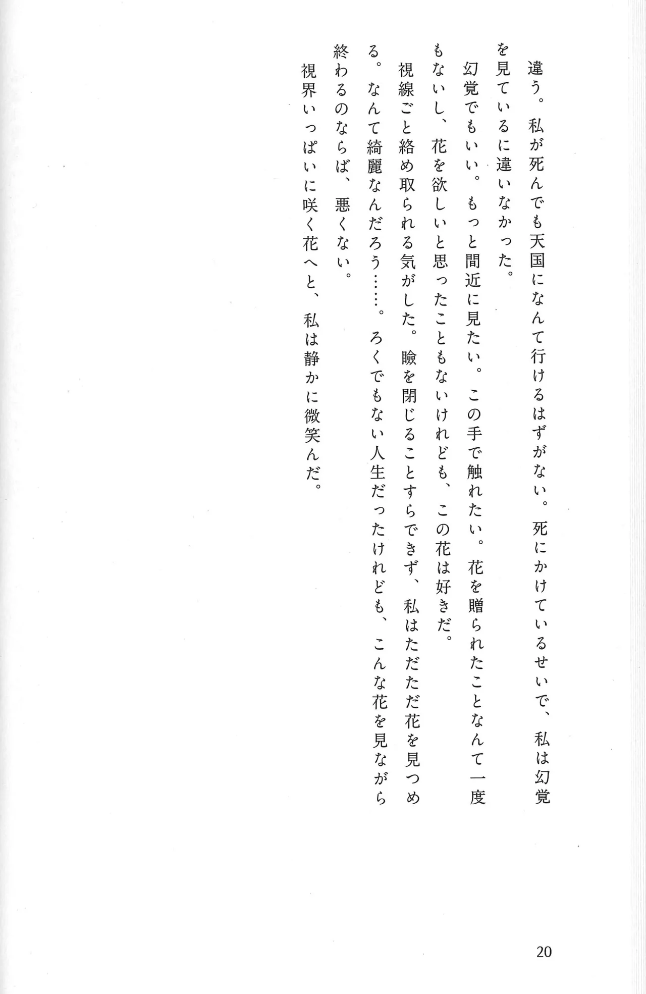 Drakengard Novel Prelude - Image 26