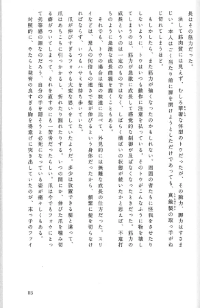 Drakengard Novel Prelude - Page 117