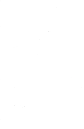 Drakengard Novel Prelude - Page 164