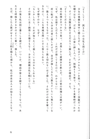 Drakengard Novel Prelude - Page 19