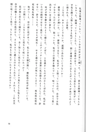 Drakengard Novel Prelude - Page 23