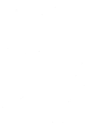 Drakengard Novel Prelude - Page 28