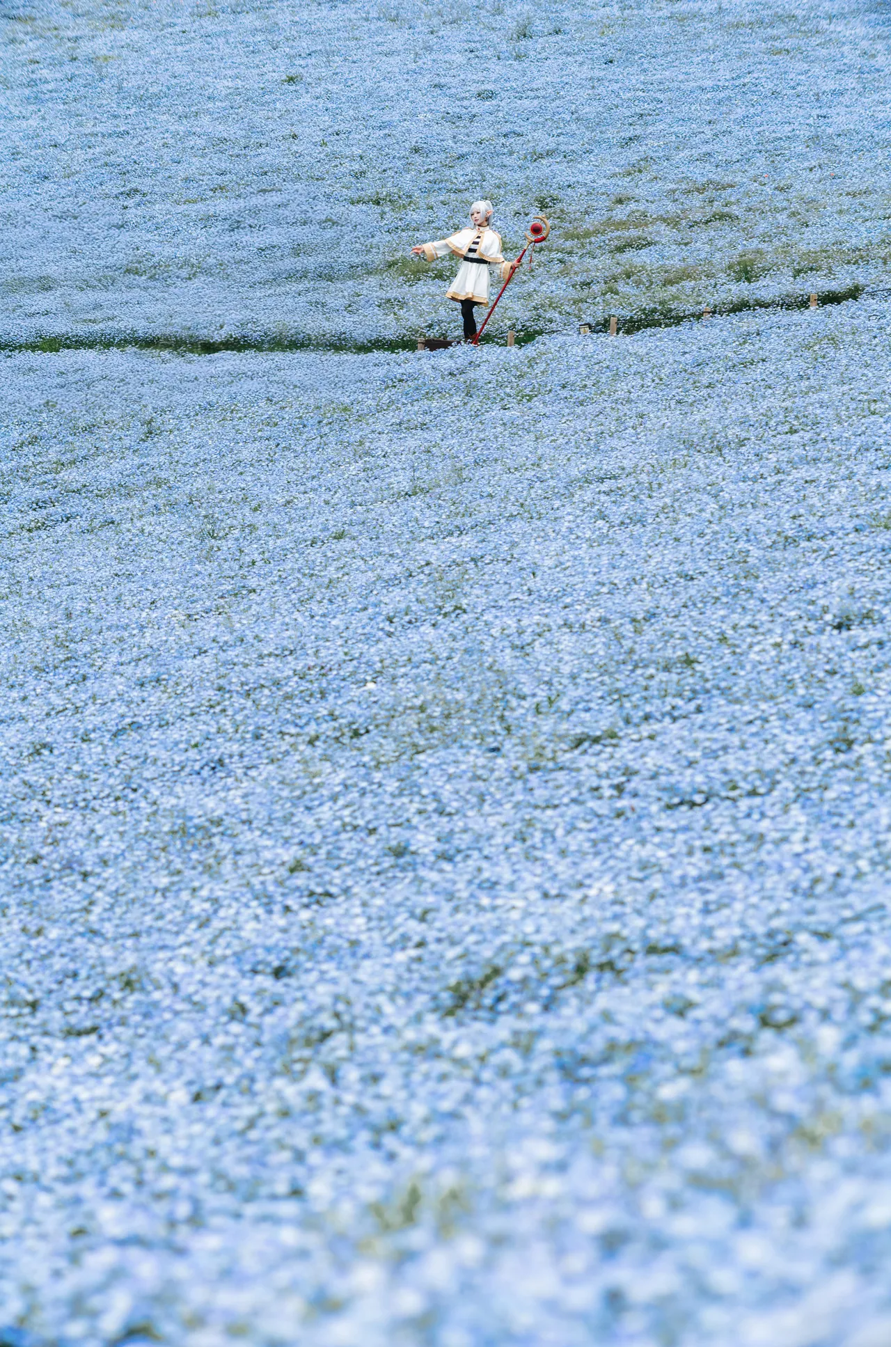 Ely June 2026 A - Frieren in the Flower Sea 花海芙莉蓮 - Image 11