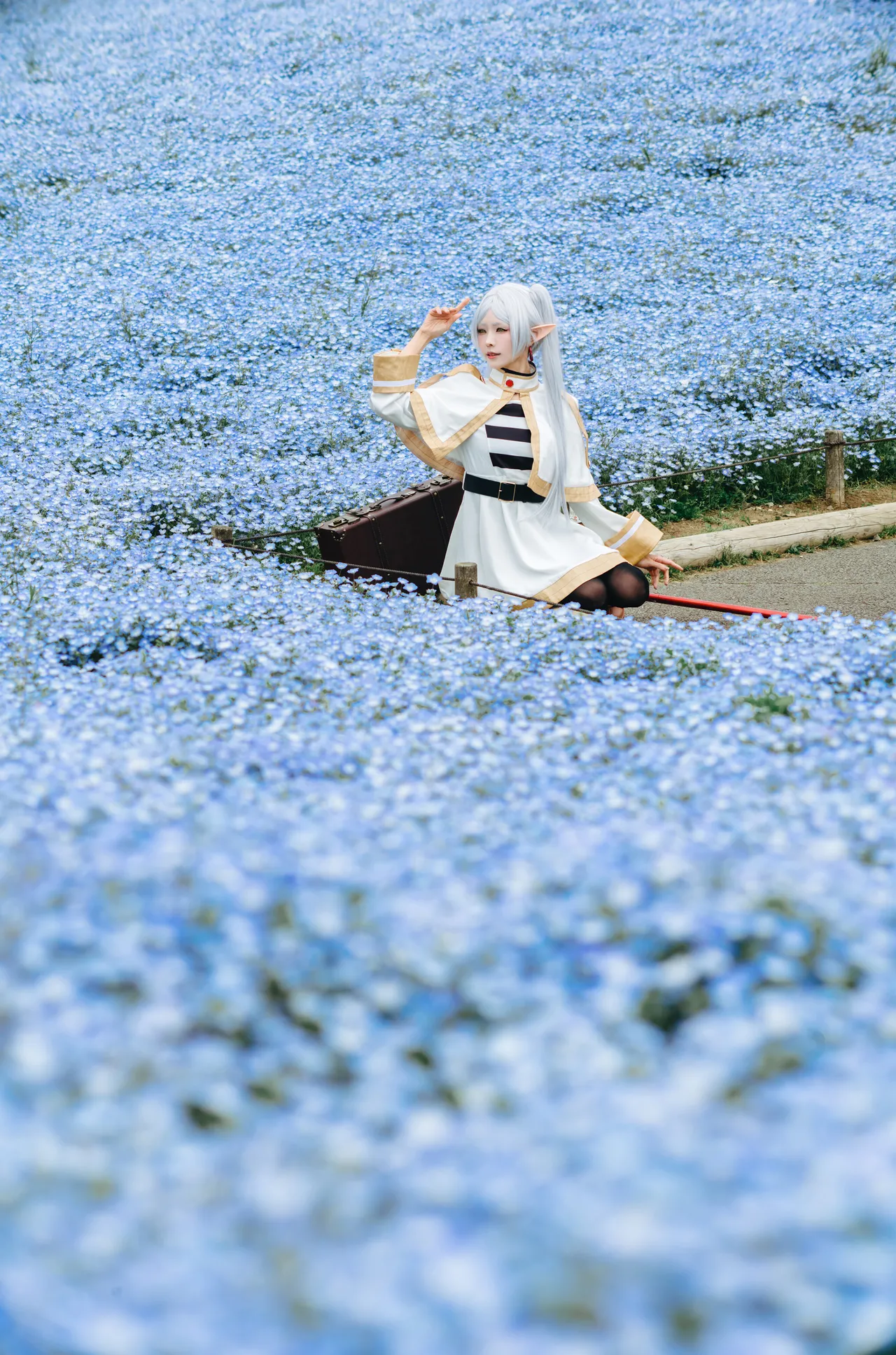 Ely June 2026 A - Frieren in the Flower Sea 花海芙莉蓮 - Image 2