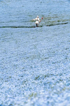 Ely June 2026 A - Frieren in the Flower Sea 花海芙莉蓮 - Page 11