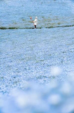 Ely June 2026 A - Frieren in the Flower Sea 花海芙莉蓮 - Page 12