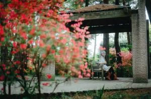 Ely June 2026 A - Frieren in the Flower Sea 花海芙莉蓮 - Page 42