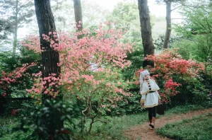 Ely June 2026 A - Frieren in the Flower Sea 花海芙莉蓮 - Page 45