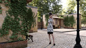 Enetwhili2 collection - Page 564