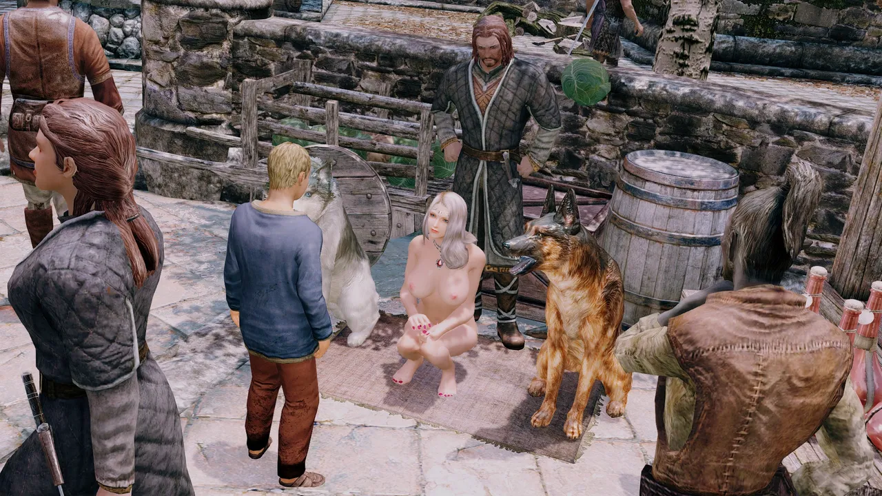 ES skyrim pixiv bondage complete version - Image 70