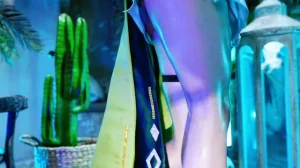 Faira Star - Nefer - Page 71