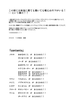 FAKESTAR Miharu DDM - Page 2