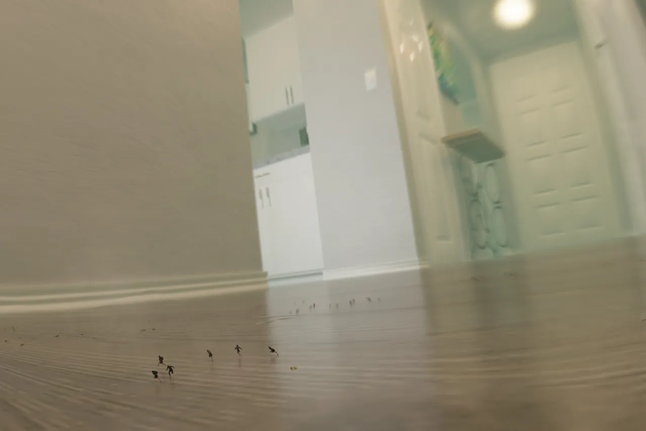 Fanbox 73W 2025.1.29 - 2025.12.11 - Image 115