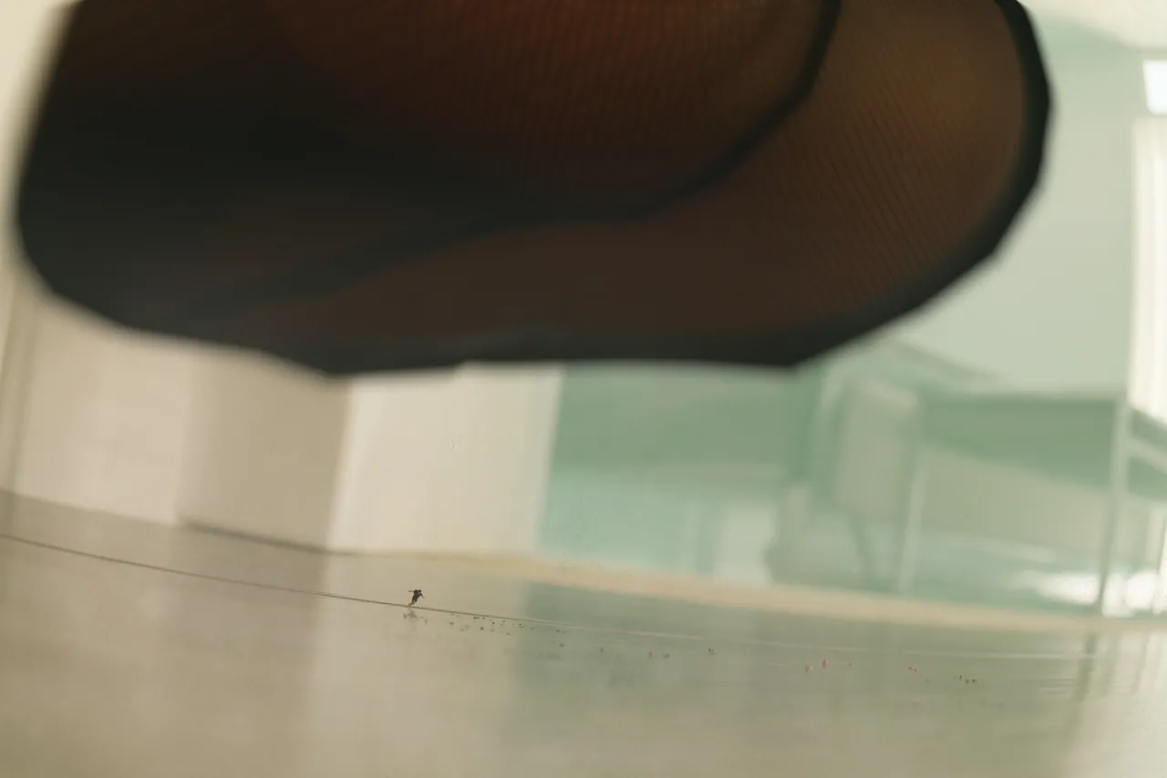 Fanbox 73W 2025.1.29 - 2025.12.11 - Image 123