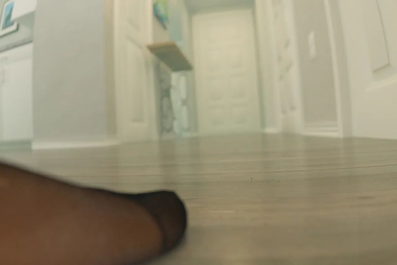 Fanbox 73W 2025.1.29 - 2025.12.11 - Image 133