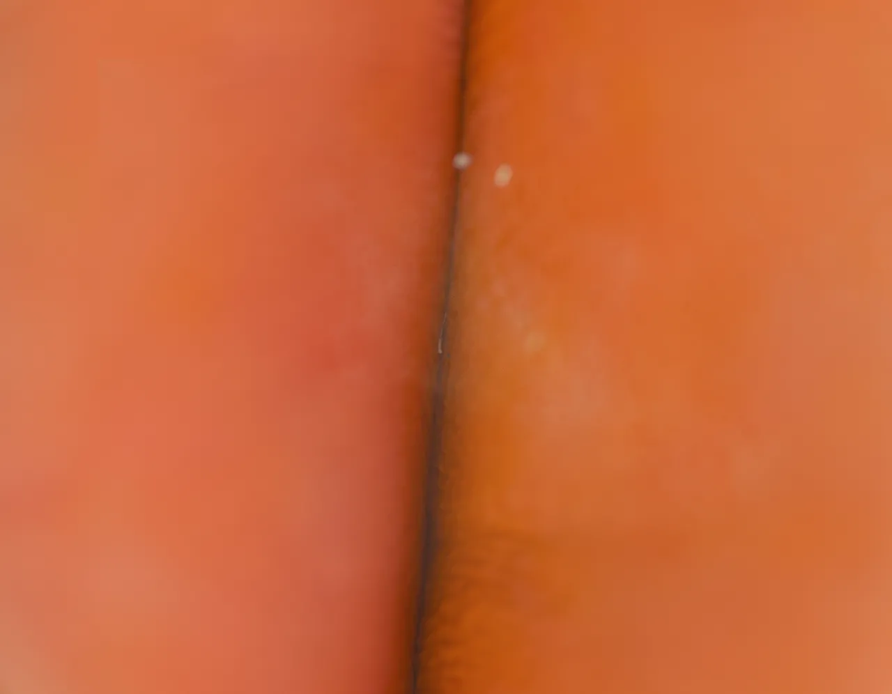 Fanbox 73W 2025.1.29 - 2025.12.11 - Image 252