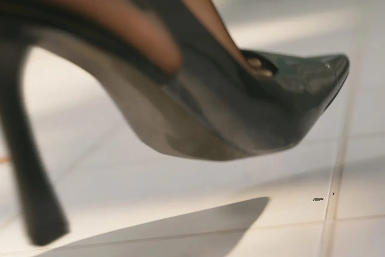 Fanbox 73W 2025.1.29 - 2025.12.11 - Image 268