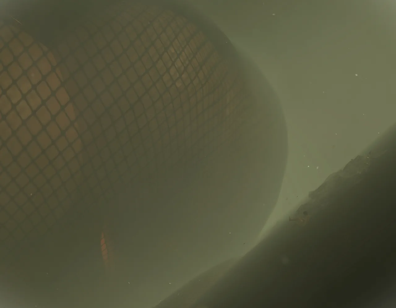 Fanbox 73W 2025.1.29 - 2025.12.11 - Image 305