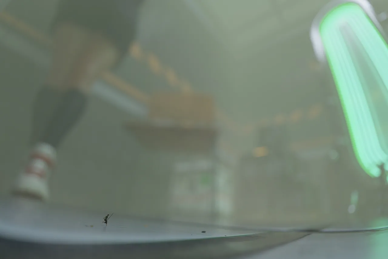 Fanbox 73W 2025.1.29 - 2025.12.11 - Image 328