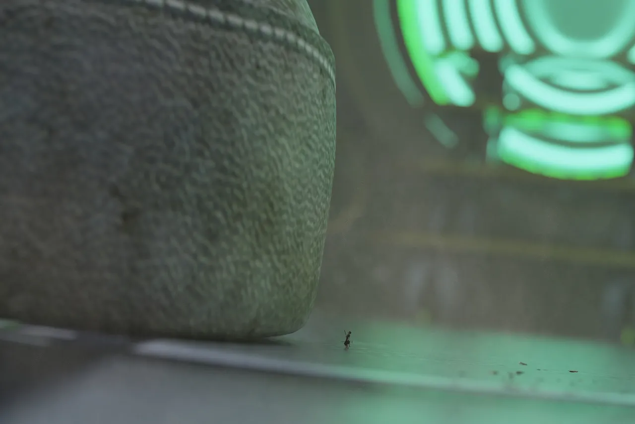 Fanbox 73W 2025.1.29 - 2025.12.11 - Image 335