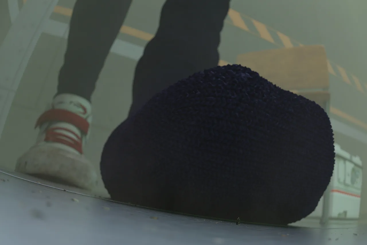 Fanbox 73W 2025.1.29 - 2025.12.11 - Image 338