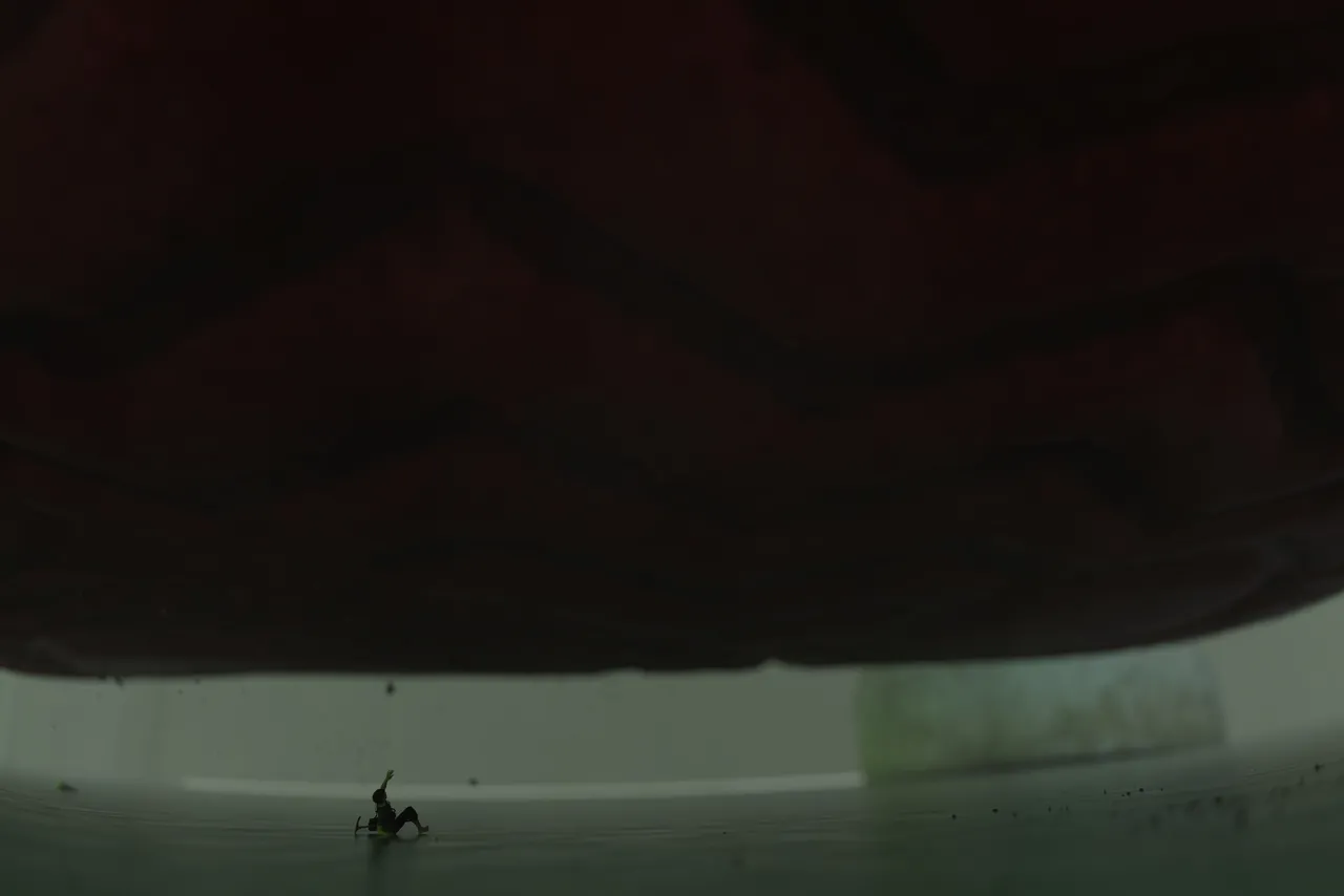 Fanbox 73W 2025.1.29 - 2025.12.11 - Image 344