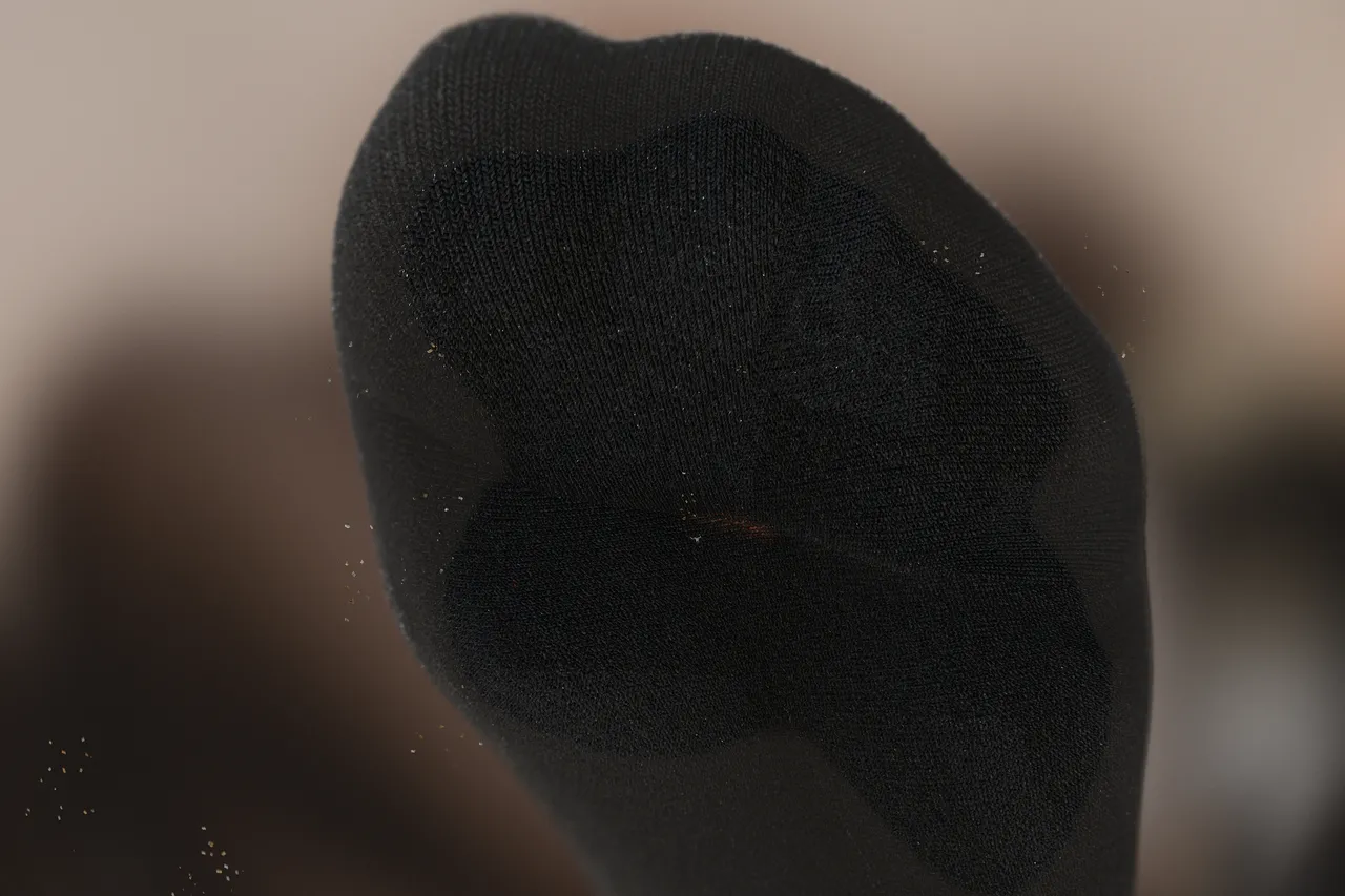 Fanbox 73W 2025.1.29 - 2025.12.11 - Image 371