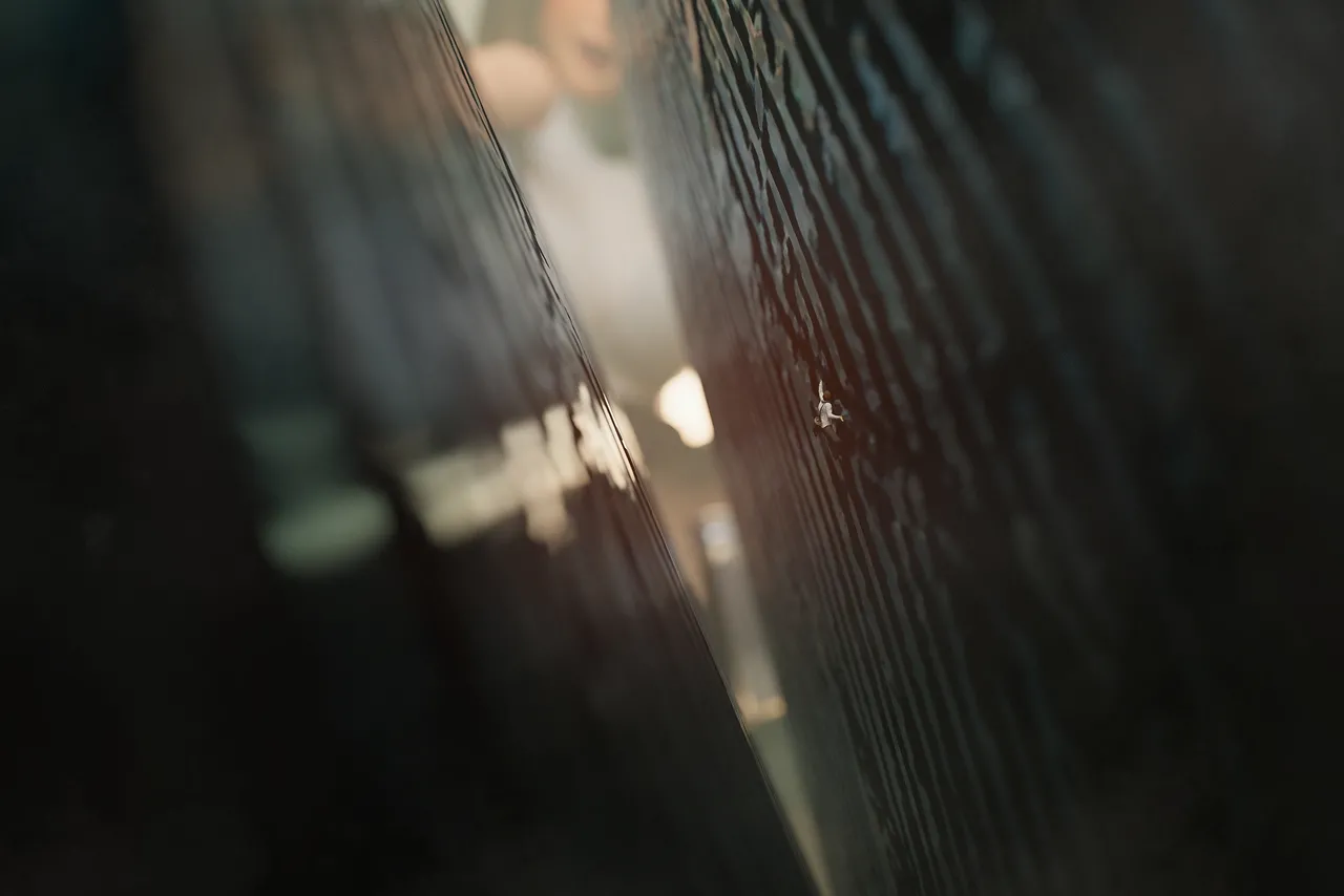 Fanbox 73W 2025.1.29 - 2025.12.11 - Image 373