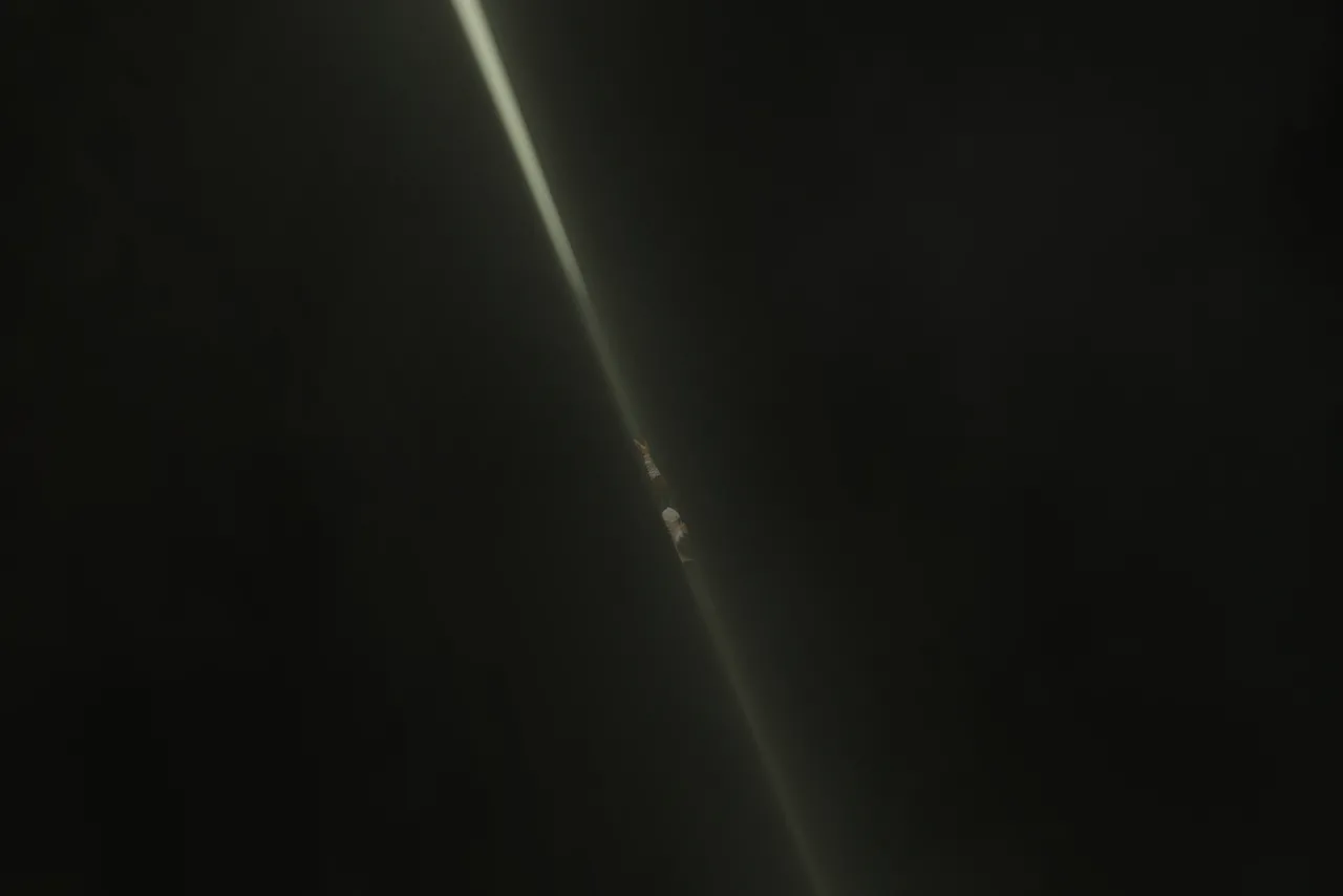 Fanbox 73W 2025.1.29 - 2025.12.11 - Image 374