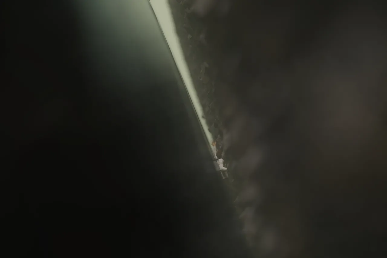 Fanbox 73W 2025.1.29 - 2025.12.11 - Image 381