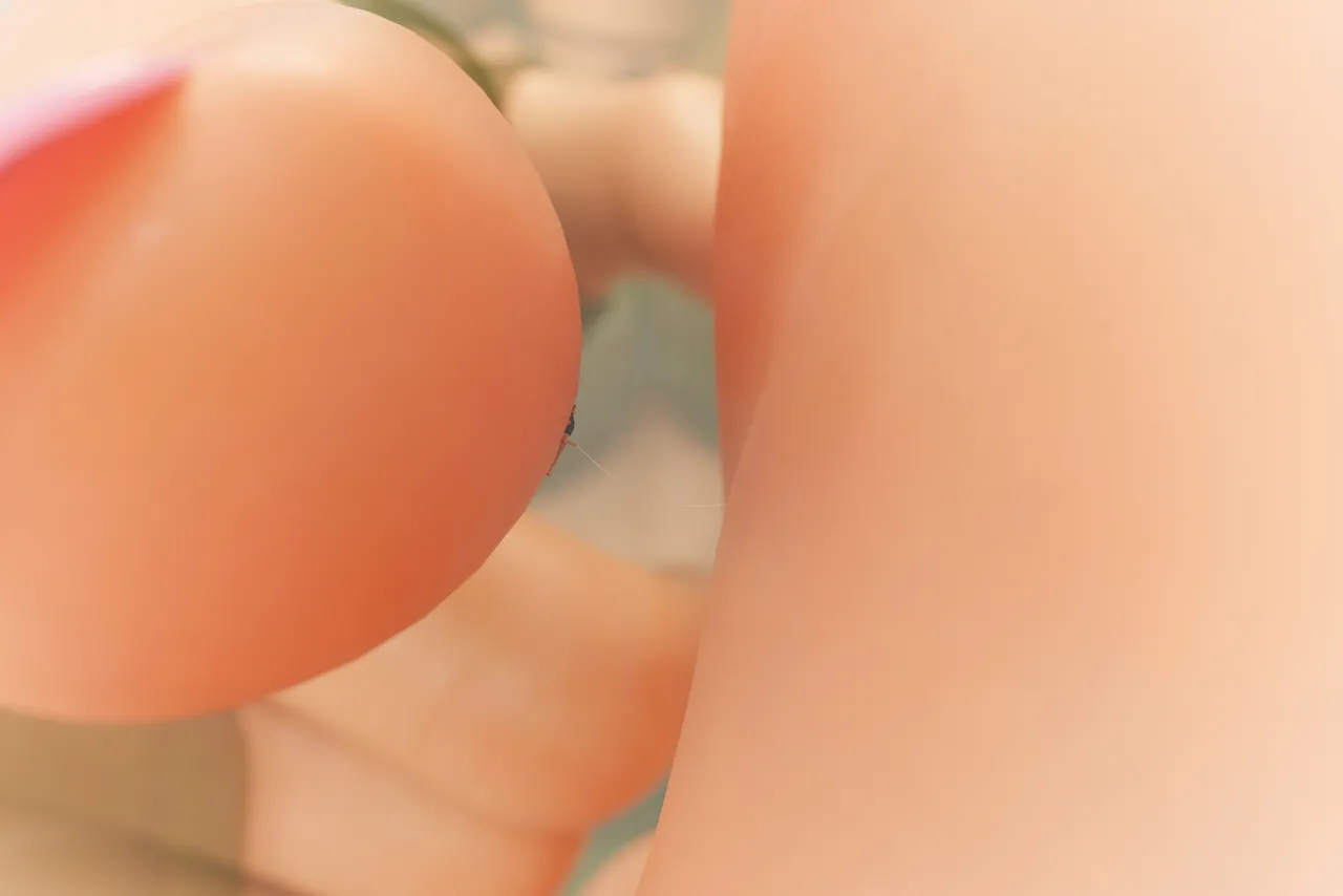 Fanbox 73W 2025.1.29 - 2025.12.11 - Image 399